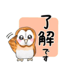 【大文字】フクロウ基本（個別スタンプ：10）