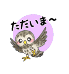 【大文字】フクロウ基本（個別スタンプ：20）