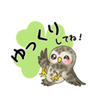 【大文字】フクロウ基本（個別スタンプ：22）