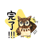 【大文字】フクロウ基本（個別スタンプ：24）