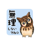 【大文字】フクロウ基本（個別スタンプ：25）