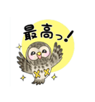 【大文字】フクロウ基本（個別スタンプ：30）