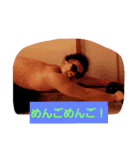 だはロック。（個別スタンプ：8）