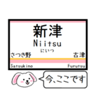 信越本線(新潟-茨目)今この駅だよ タレミー（個別スタンプ：6）