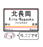 信越本線(新潟-茨目)今この駅だよ タレミー（個別スタンプ：19）