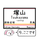 信越本線(新潟-茨目)今この駅だよ タレミー（個別スタンプ：25）