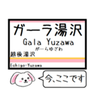 上越線(高崎-長岡)今この駅だよ タレミー（個別スタンプ：37）