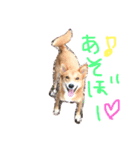 愛犬ラブたん（個別スタンプ：5）