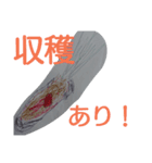 M画伯(5歳)（個別スタンプ：10）