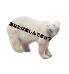 動物たちの嘆き（個別スタンプ：1）