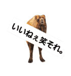 動物たちの嘆き（個別スタンプ：2）