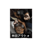 犬どもの旅 4匹なり（個別スタンプ：12）