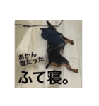 犬どもの旅 4匹なり（個別スタンプ：13）