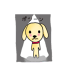 犬のゆらいち（個別スタンプ：10）