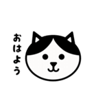 かわいい黒白猫の顔2（個別スタンプ：1）