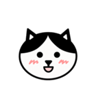 かわいい黒白猫の顔2（個別スタンプ：3）
