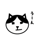 かわいい黒白猫の顔2（個別スタンプ：21）