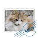 大人も使える 切手風 福々猫写真スタンプ（個別スタンプ：2）