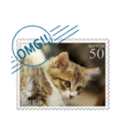 大人も使える 切手風 福々猫写真スタンプ（個別スタンプ：9）