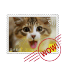 大人も使える 切手風 福々猫写真スタンプ（個別スタンプ：19）