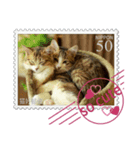 大人も使える 切手風 福々猫写真スタンプ（個別スタンプ：20）