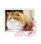 大人も使える 切手風 福々猫写真スタンプ（個別スタンプ：21）