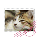 大人も使える 切手風 福々猫写真スタンプ（個別スタンプ：25）