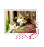 大人も使える 切手風 福々猫写真スタンプ（個別スタンプ：26）