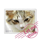 大人も使える 切手風 福々猫写真スタンプ（個別スタンプ：27）