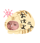 れんれんすたいる（個別スタンプ：3）