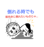 じい様の説教（個別スタンプ：10）