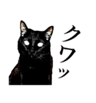 黒猫くろねこクロネコ鈴木さんのスタンプ（個別スタンプ：2）