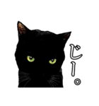 黒猫くろねこクロネコ鈴木さんのスタンプ（個別スタンプ：5）