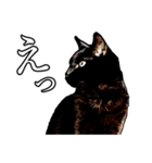 黒猫くろねこクロネコ鈴木さんのスタンプ（個別スタンプ：6）