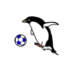 アデリーペンギンのサッカー（個別スタンプ：1）