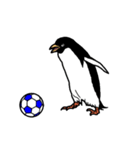 アデリーペンギンのサッカー（個別スタンプ：2）