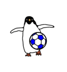 アデリーペンギンのサッカー（個別スタンプ：6）