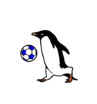 アデリーペンギンのサッカー（個別スタンプ：7）