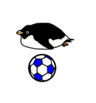 アデリーペンギンのサッカー（個別スタンプ：13）