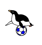 アデリーペンギンのサッカー（個別スタンプ：15）