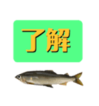 【デカ文字版2】鮎釣り中に使えるスタンプ（個別スタンプ：2）