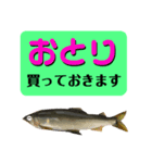 【デカ文字版2】鮎釣り中に使えるスタンプ（個別スタンプ：4）