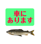 【デカ文字版2】鮎釣り中に使えるスタンプ（個別スタンプ：6）