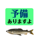 【デカ文字版2】鮎釣り中に使えるスタンプ（個別スタンプ：7）