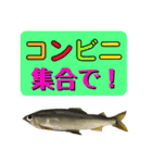 【デカ文字版2】鮎釣り中に使えるスタンプ（個別スタンプ：8）