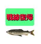 【デカ文字版2】鮎釣り中に使えるスタンプ（個別スタンプ：10）