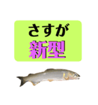 【デカ文字版2】鮎釣り中に使えるスタンプ（個別スタンプ：22）