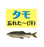 【デカ文字版2】鮎釣り中に使えるスタンプ（個別スタンプ：26）