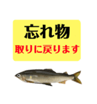 【デカ文字版2】鮎釣り中に使えるスタンプ（個別スタンプ：28）