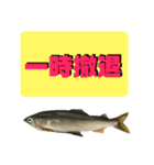 【デカ文字版2】鮎釣り中に使えるスタンプ（個別スタンプ：30）